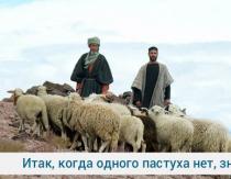 Koho označujú ako „stratenú ovcu“?