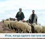 Kuru viņi sauc par “pazudušo aitu”?
