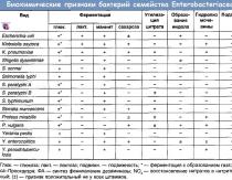 Морфология на Salmonella Таблица с биохимични характеристики на род Salmonella