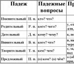 Čo je to skloňovanie: koľko prípadov je v ruštine